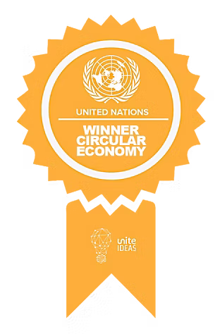 United Nations Recognition Award
